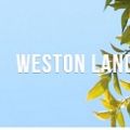 Weston Landscaping Experts