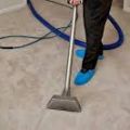 Fremont Carpet Cleaning Experts