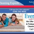 Davis Carpet Cleaning Experts