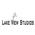 Lake View Studios Web Design