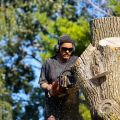 Tree Removal Long Island