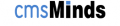 CmsMinds - Web Design and Development Company