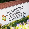 Jasmine at the Galleria Apartment Community