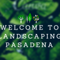 Landscape Design Pasadena
