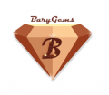 Bary Gems Inc