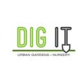 Dig It Urban Gardens and Nursery