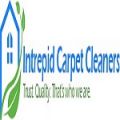 Intrepid Carpet Cleaners