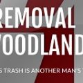 Junk Removal of The Woodlands