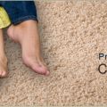 Deerfield Beach Carpet Cleaning Professionals