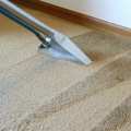 Southwest Ranches Carpet Cleaning Masters