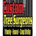 Custom Tree Surgeons