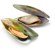 GreenLipped Mussel Supplements