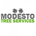 Modesto Tree Services