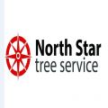North Star Tree Service