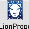 Blue Lion Properties