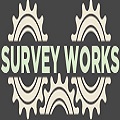 Survey Works