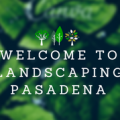 Landscape Design Pasadena