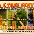H&E Tree Services