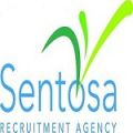 Sentosa Nursing Recruitment Agency