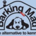 Barking Mad Ltd