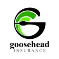 Goosehead Insurance: Marci Hicks