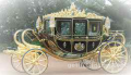 Royal Coach Limousine LLC