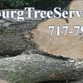 Harrisburg Tree Service