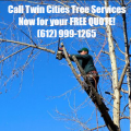 Twin Cities Window Services