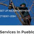 Pueblo Tree Services