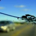 Mobile Car Glass Solutions