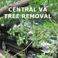 Central VA Tree Removal