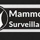 Mammoth Surveillance Camera Systems