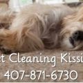 Carpet Cleaning Kissimmee