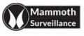 Mammoth Surveillance Camera Systems Boston