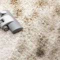 Extreme Clean Carpet
