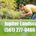 Jupiter Landscaping