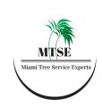 Miami Tree Service Experts