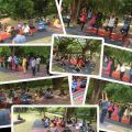 International Yoga Day - 2017 Celebration at Vee Technologies