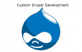 Custom Drupal Development To Design Websites With Specific Needs
