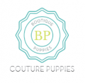 Bootique Puppies