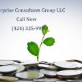 Enterprise Consultants Group LLC