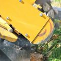 Tree Trimming Services of The Woodlands, Texas 77382