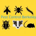 Pest Control Berkeley