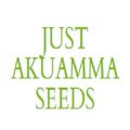 Just Akuamma Seeds