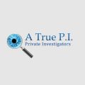 A True P. I. Private Investigator