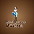Mold Removal Doctor Houston