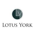 Lotus York