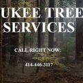 Milwaukee Tree Care Services