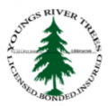 Youngs River Tree Service