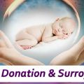 Gestational Surrogacy & Egg Donation Agency